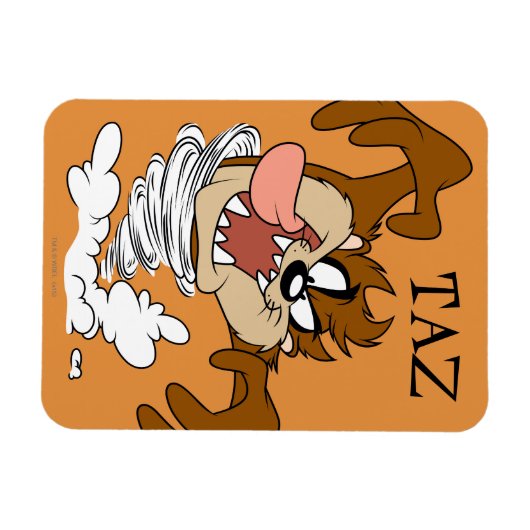 TAZ™ Whirlpool Tornado Magnet (Horizontal)