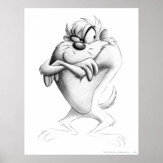 TAZ™ Zeichnend Poster (Vorne)