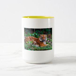taza tg zweifarbige tasse
