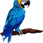 Tazas: Empieza tu mañana con todo Kaffeetasse