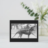 tazmanischer Tiger Postkarte (Stehend Vorderseite)