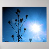 TBA Award Gewinner Hope Poster (Vorne)