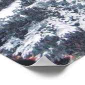 TBA Award - Pine Lights Poster (Ecke)