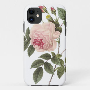 (TBA) Redoute Rose 2 iPhone 11 Hülle