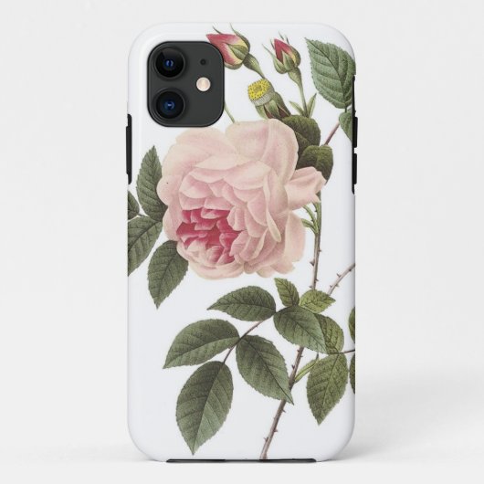(TBA) Redoute Rose 2 Case-Mate iPhone Hülle (Rückseite)