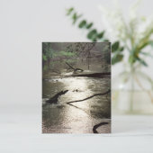 Tchefuncte Glimmer Postkarte (Stehend Vorderseite)