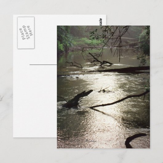 Tchefuncte Glimmer Postkarte (Vorne/Hinten)