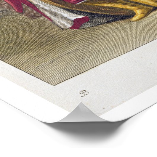 Tchorbadji, Kapitän der Janissären, 18. Jahrhunder Poster (Ecke)