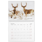 TCWC - Jahr der Nation California Wildlife Custom  Kalender (Jan 2026)