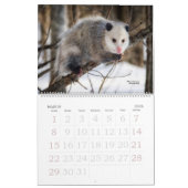 TCWC - Jahr der Nation California Wildlife Custom Kalender (Mär 2026)