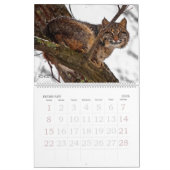 TCWC - Jahr der Nation California Wildlife Custom  Kalender (Feb 2026)