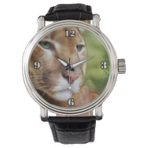 TCWC - Puma Mountain Lion Art