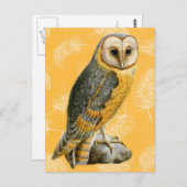 TCWC - Vintages Stallhuhn Postkarte (Vorne/Hinten)