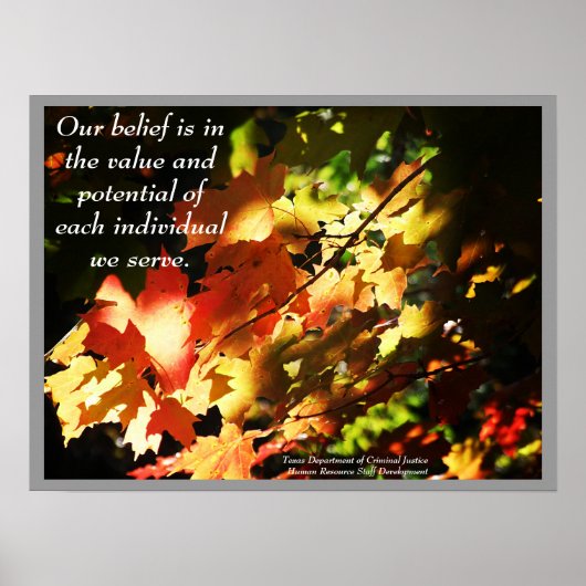 TDCJ HR Staff Development Poster - Maßgeschneidert (Vorne)