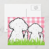 TDD 2 White Girls Postkarte (Vorne/Hinten)