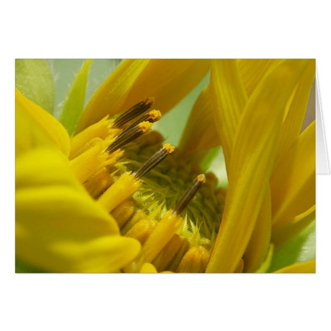 Te amo (Vorderseite (Horizontal))