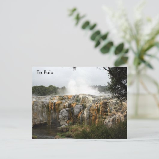 Te Puia Postkarte (Stehend Vorderseite)