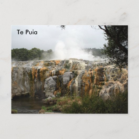 Te Puia Postkarte (Vorderseite)