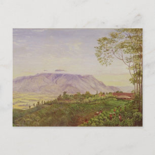 Tea-Ansammlung in Hoelle Postkarte
