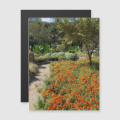 Tea Garden Blume Magnet (Vorne/Hinten)