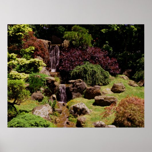 Tea Garden Poster (Vorne)