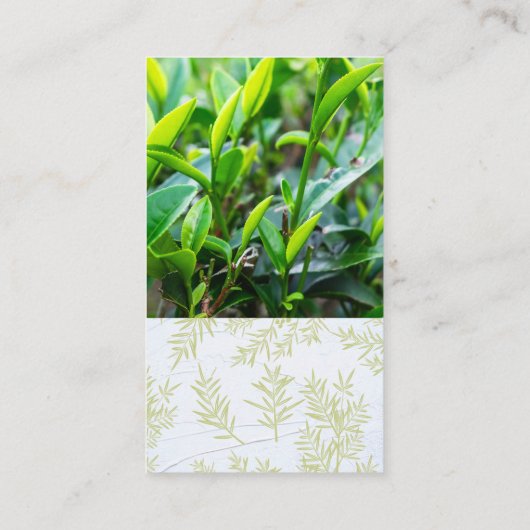 Tea Leaf Fields | Tea Pot Visitenkarte (Rückseite)