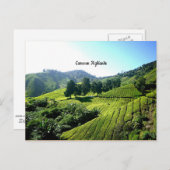 Tea Plantation, Cameron Highlands, Malaysia Postkarte (Vorne/Hinten)