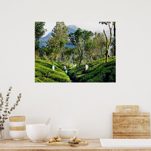 Tea Plantation Poster (Küche)