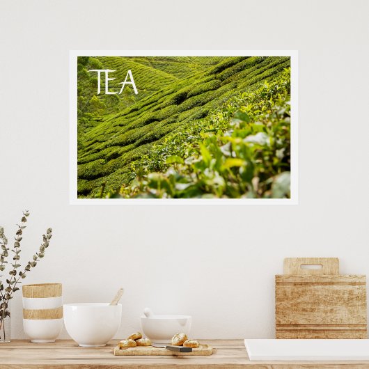 Tea Plantation Poster (Küche)