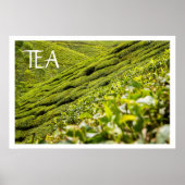 Tea Plantation Poster (Vorne)