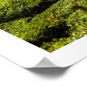 Tea Plantation Poster (Ecke)