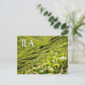 Tea Plantation Postkarte (Stehend Vorderseite)