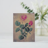 Tea Rose Grunge Postkarte (Stehend Vorderseite)