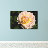 Tea-Rose Leinwanddruck (Insitu (Holzboden))