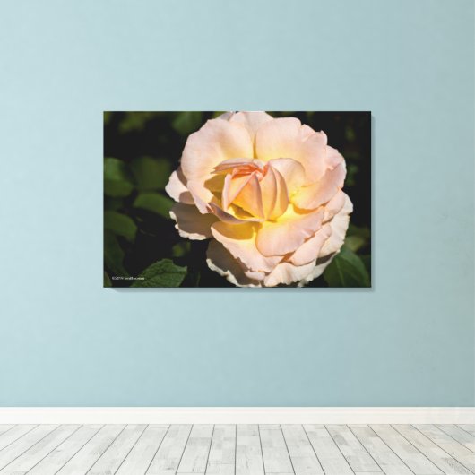 Tea-Rose Leinwanddruck (Insitu (Holzboden))