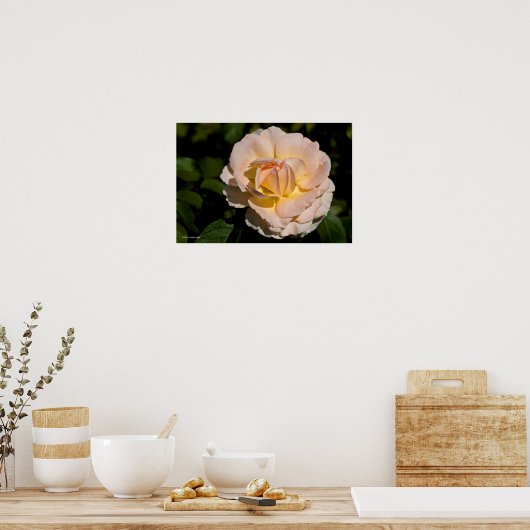 Tea-Rose Poster (Küche)