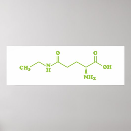 Tea Theanine Molecular Chemical Formel Poster (Vorne)