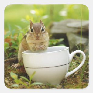 Tea Time Chipmunk Quadratischer Aufkleber