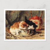 Tea Time Kittens Henriëtte Ronner-Knip Postkarte (Vorderseite)