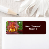 Teacher's Room Labels Aufkleber Zimmer #'s (Insitu)