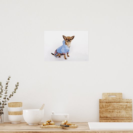 Teacup Chihuahua Poster (Küche)