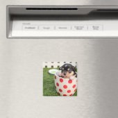Teacup Chihuahua Puppy Magnet (In Situ (Geschirrspüler))