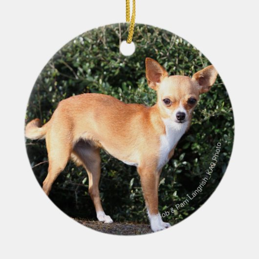 Teacup-Chihuahua-Welpe Keramikornament (Vorne)