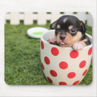Teacup-Chihuahua-Welpe Mousepad