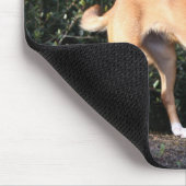 Teacup-Chihuahua-Welpe Mousepad (Ecke)