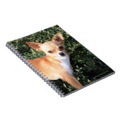 Teacup-Chihuahua-Welpe Notizblock (Rechte Seite)