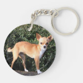 Teacup-Chihuahua-Welpe Schlüsselanhänger (Rückseite)