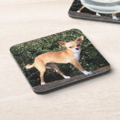 Teacup-Chihuahua-Welpe Untersetzer (Linke Seite)