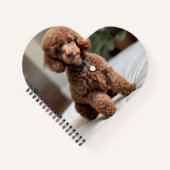 Teacup Poodle 2 Notizblock (Vorderseite)