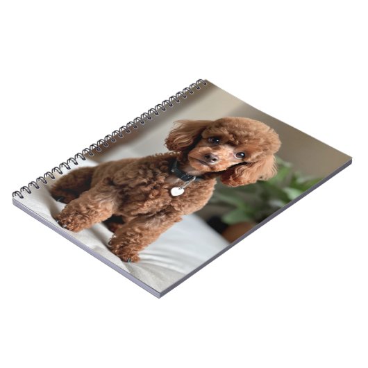 Teacup Poodle 2 Notizblock (Linke Seite)
